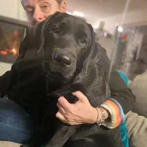 Recherche travaux ménages 