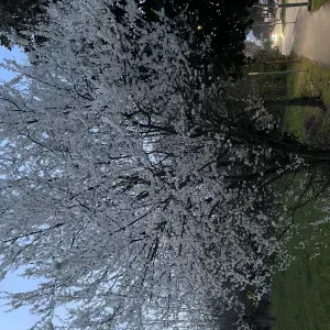 potrete valutare il mio lavoro gia dal primo giorno.