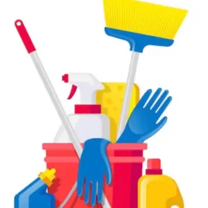 Femme de ménage aide à domicile+ secu 