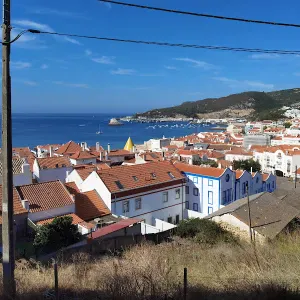 Oferta de emprego para uma empregada doméstica em Lamego