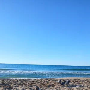 Empleada de limpieza en barcelona en castldeffls,