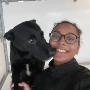 Pet-Sitter dans le 95 environ de Taverny, Bessancourt...