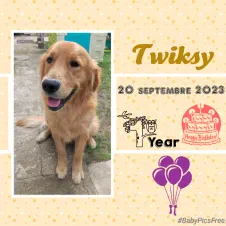 Garde ponctuelle d'enfants