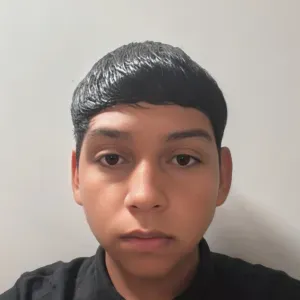 Cuidador de animales y paseador de perros en Madrid