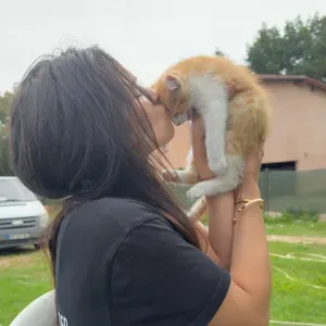 Femme de ménage à Toulouse et c'est alentour 