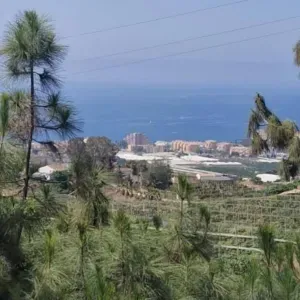 Je cherche un(e) aide ménagère près de chez moi