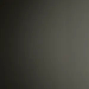 Femme de ménage à bruxelles et alentours 