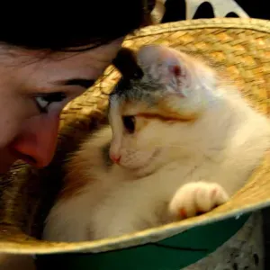 Trabajo de canguro en Olías Del Rey