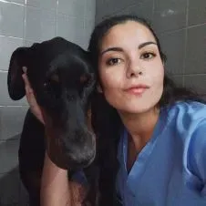 Pet sitting em Loures / atendimento em residência 