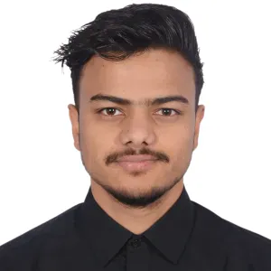 Responsible Housekeeper in Paris 