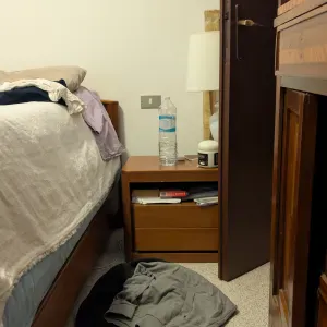 Cerco pulizie domestiche a Monza 