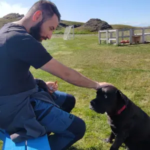 Cerco collaboratore/collaboratrice per pulizie appartamento
