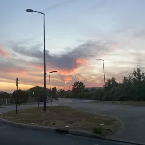 Recherche d'animaux à garder