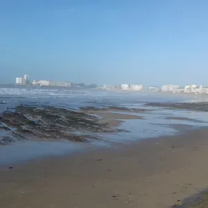 Garde d'animaux beaupreau et ses alentours 