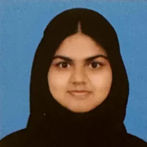 Experienced babysitter available in Nürnberg