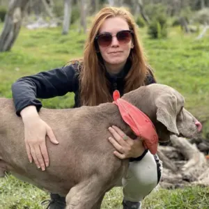 Canguro en Valencia, Oliva con experencia!