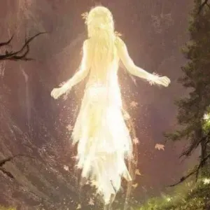 Entretien maison de location - Gujan mestras