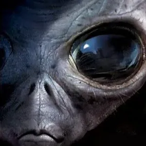 Cuidar do seu animal de estimação. Évora.