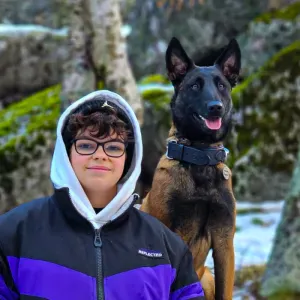 Petsitting, dogwalking e treino canino