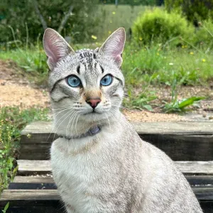 Busco una persona de limpieza en Barcelona