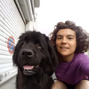 Baby sitting occasionnel