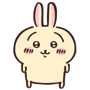 Femme de ménage occasionnelle 