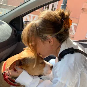 Cuido dos vossos animais com amor e carrinho