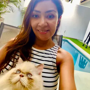 Amie des animaux cherche compagnons à chouchouter