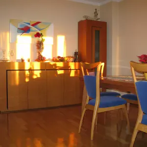 Empregada a dias, perto do Gaia Shopping 