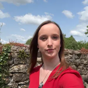 Baby-sitter occasionnel disponible les soirs et week-end 