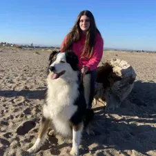 Petits service d'aide 