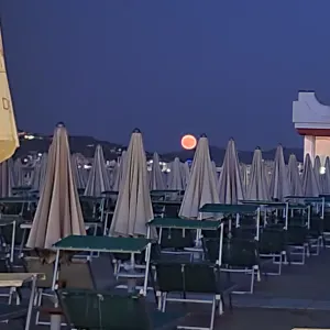 Cerco donna aiuto pulizie