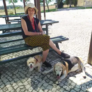 Vaga para Petsitter em Cascais