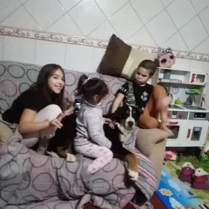 Femme de ménage à Brétigny sur orge 