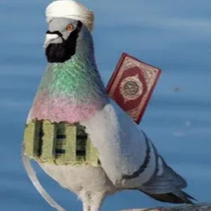 Cerco un servizio di pulizie vicino a me