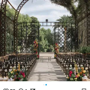 Looking for sitter in Palma