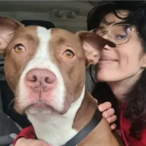 Dog Walking & Pet Sitting em Caldas da Rainha