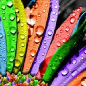 I'm looking for a babysitter Bemmel