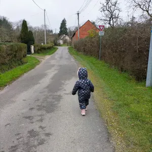 Cherche à garder loulous a Rueil malmaison