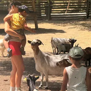 Baby-sitter expérimentée Mérignac (occasionnel)