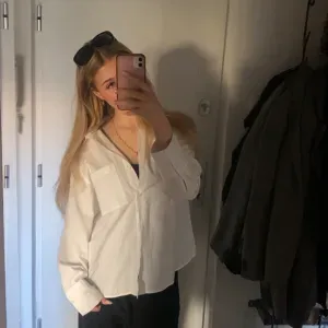 Petsitter opiekunka do zwięrząt