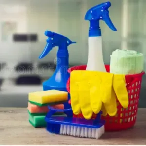 Femme de ménage à Épône et les environs 