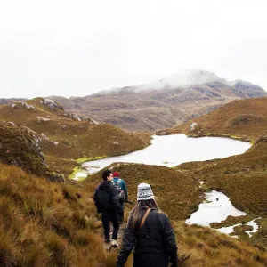 Cuidadora con Vocación-Experiencia en Atención Domiciliaria