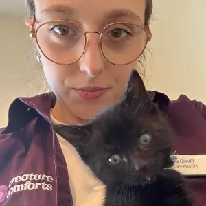 Pet Sitting Arco, Riva, Dro - Alto Garda. 