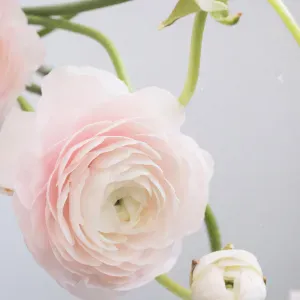 Offerta di lavoro per pulizie a Rozzano