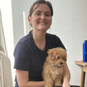 Recherche d'un petsitter pour Api, un chiot maltipoo