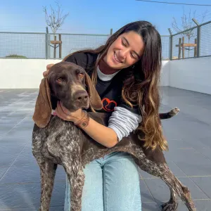 Pet sitting/ dog walking algarve