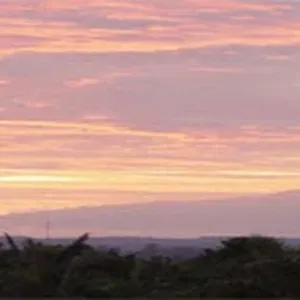 Recherche femme de ménage