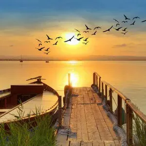 Angel la pet-sitter sur Lyon !