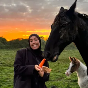 Aide et soutien scolaire + cours particuliers